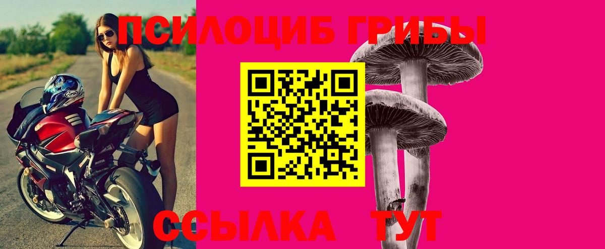 закладка  Вход с VPN  Малоярославец  Галлюциногенные грибы мухоморы 
