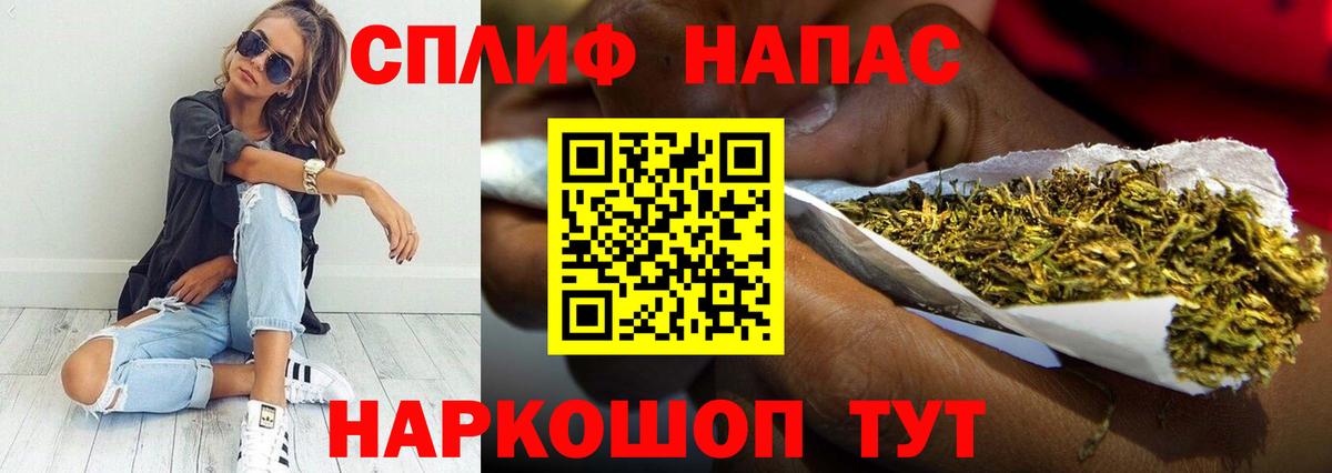Каннабис сатива Малоярославец